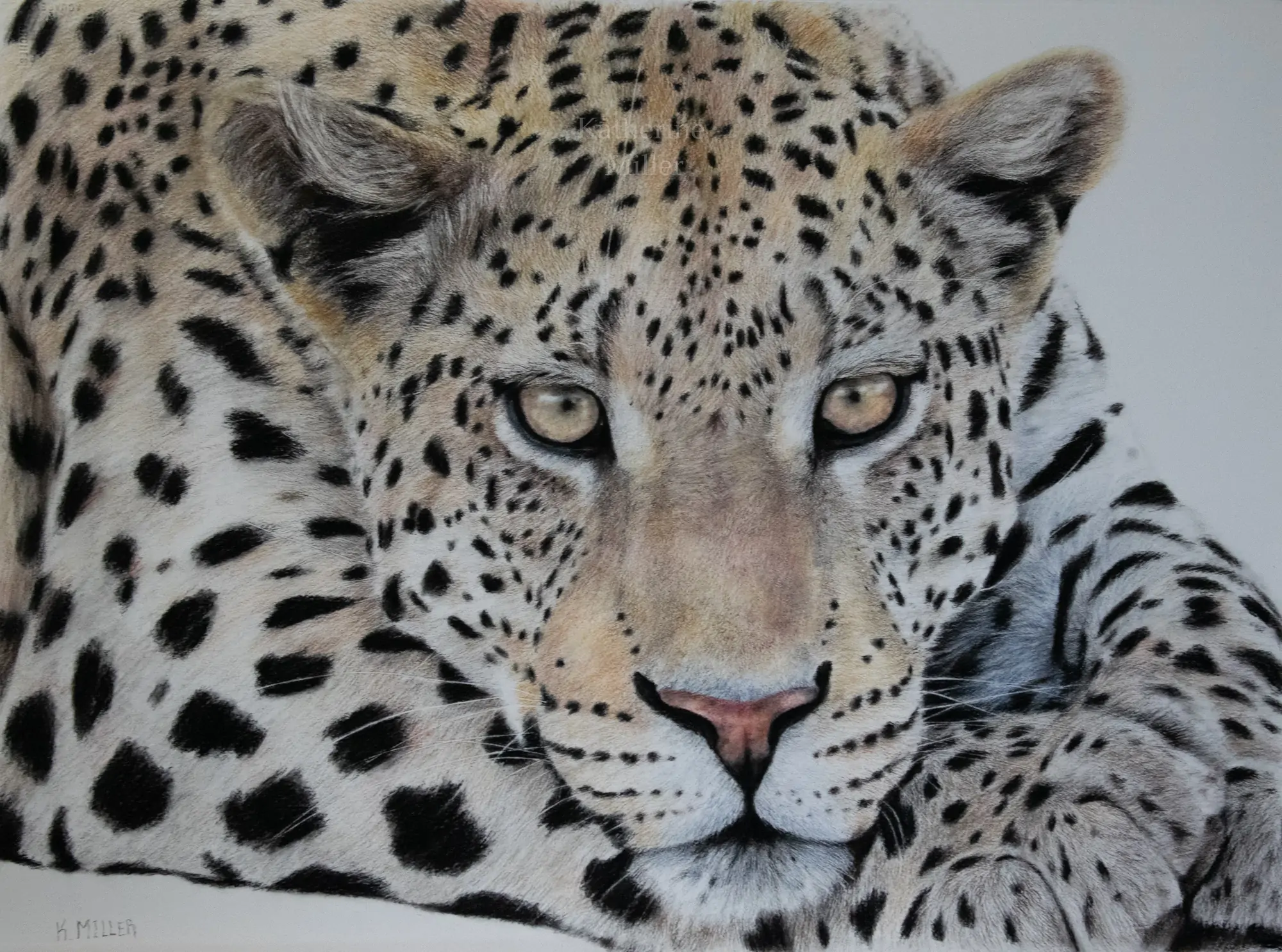 léopard pastel sec tableau